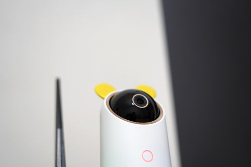這款攝像頭自帶